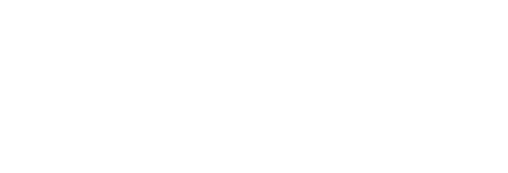 dapflix logo white 1024x350